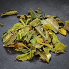 Limetkový list (sušený) 10g