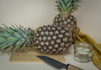 Ako si vypestovať vlastný ananás. Jednoduchý návod krok po kroku.