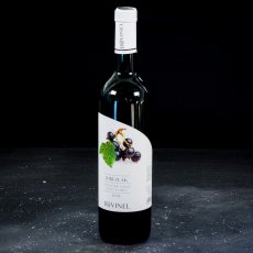 Ríbezlák - ovocné polosladké víno 0,75 l (2021)