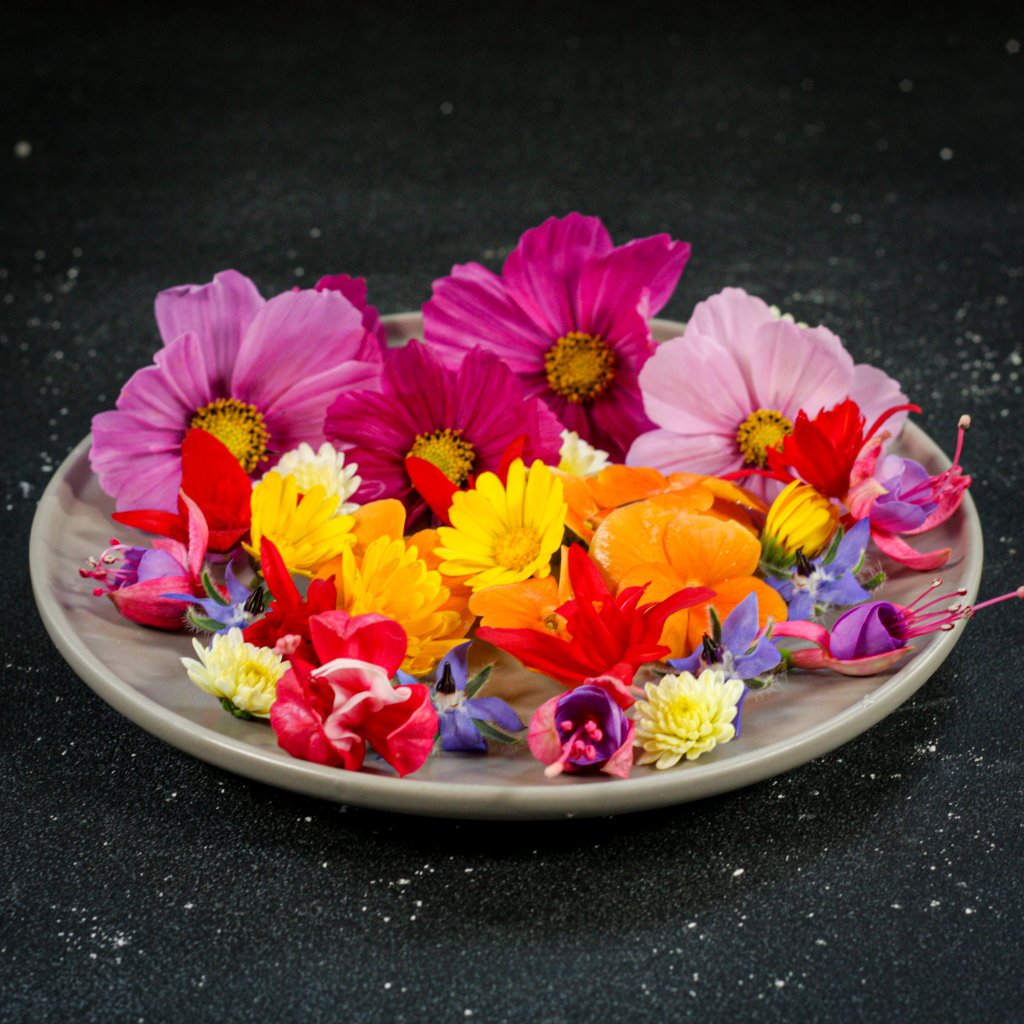 Jedlé kvety - vanička (25 až 30 ks)