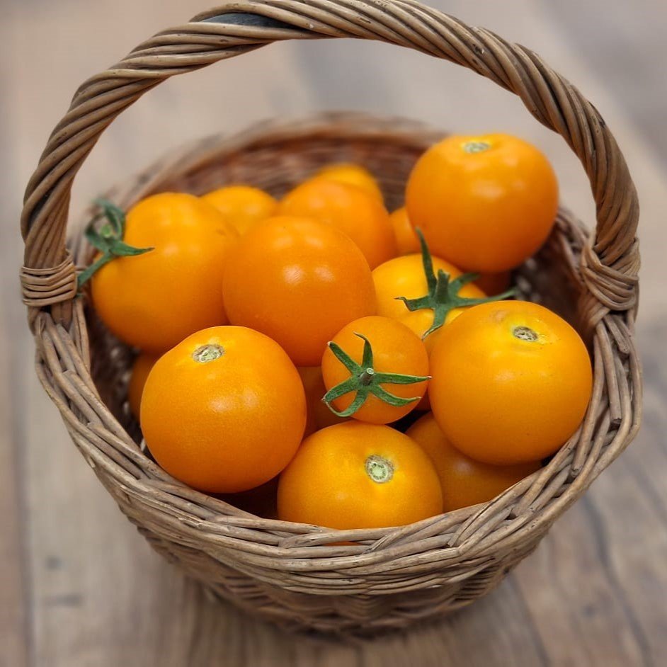 BIO paradajky žlté 500g