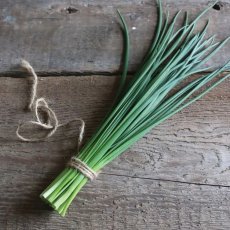 Pažitka 30 g (balenie)